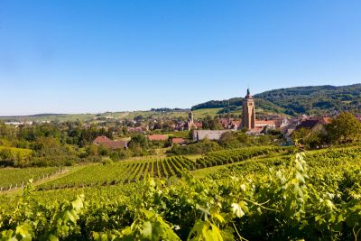 Le Combiné ARBOIS